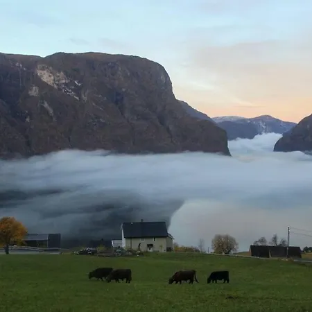 Idyllic Fjordside House Вилла Эурланн