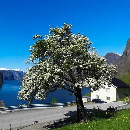 Вилла Idyllic Fjordside House Эурланн