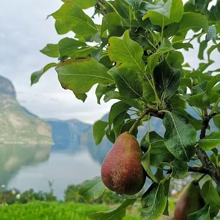 Idyllic Fjordside House Вилла