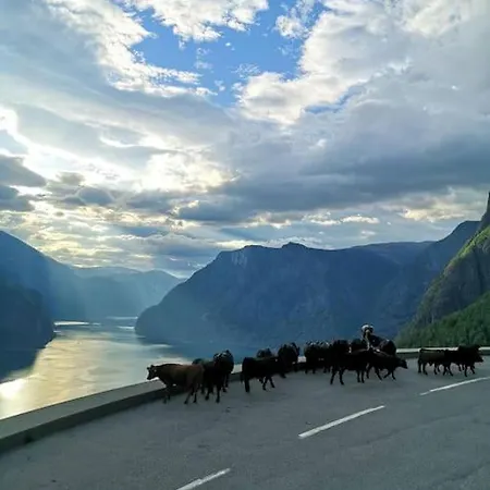 Idyllic Fjordside House * Эурланн